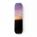 Lonely Beach at Sunrise Norfolk VA skateboard
