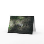 Lonely Bear "Missing you..." greeting card