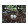 Lonely Birds Nest Post Card