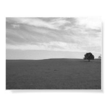Lonely Black and White Prarie Scene posters
