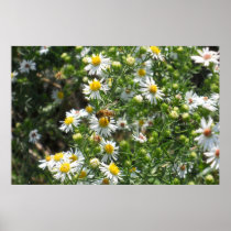 lonely BumbleBee Posters