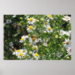 lonely BumbleBee Posters