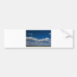 lonely chimney bumper sticker