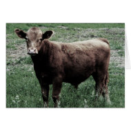 Lonely Cow card