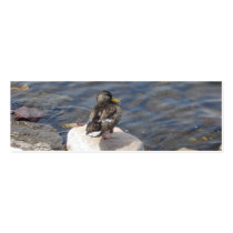 Lonely Duck Bookmark business cards by Country1969 Lonely Duck Bookmark business cards