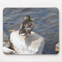 Lonely Duck Mousepad by Country1969 Lonely Duck Mousepad