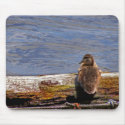 Lonely Duckling mousepads by Mike_Montalvo Lonely Duckling mousepads