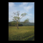 Lonely Field Gallery Wrap Canvas
