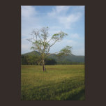 Lonely Field Gallery Wrap Canvas