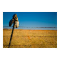 Lonely Fields posters by DanielBrunner Lonely Fields posters