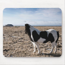 Lonely horse mousepads