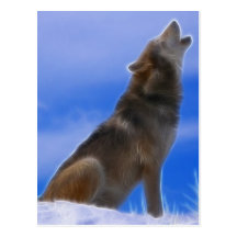 Lonely Howling Endangered Gray Wolf Post Cards