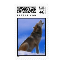Lonely Howling Endangered Gray Wolf Postage