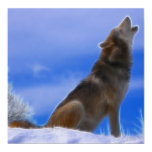 Lonely Howling Endangered Gray Wolf Print