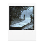 Lonely Lake Postcard