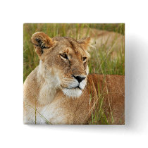 Lonely Lioness Button