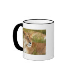 Lonely Lioness mug
