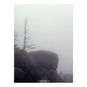 Lonely Morning Mist Poster posters
