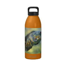 Lonely Oscar Fish Water Bottle