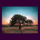 Lonely pear tree