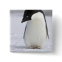Lonely Penguin Button