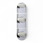 Lonely Penguin Skateboard