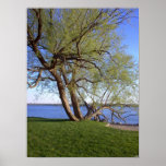 Lonely Poster