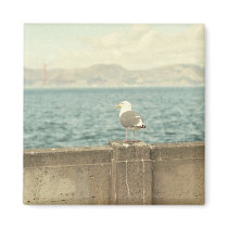Lonely Seagull magnets