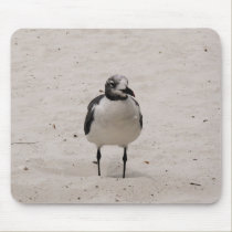 Lonely seagull mousepads
