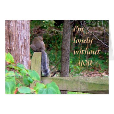 Lonely Squirrel