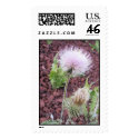 Lonely thistle stamp