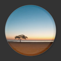 Lonely tree at sunrise in Kuwait magnets