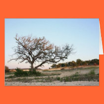Lonely tree cards by JuliaGoss Lonely tree cards