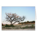 Lonely tree cards by JuliaGoss Lonely tree cards