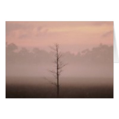 Lonely Tree Card by roimim
