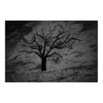 Lonely Tree Drawing Black N White posters