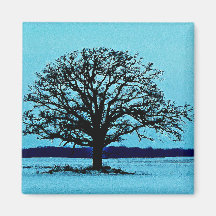 Lonely Tree in a Winter Landscape Magnets