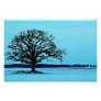 Lonely Tree in a Winter Landscape Photo Art
