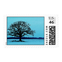 Lonely Tree in a Winter Landscape Stamps
