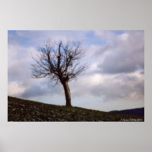 Lonely Tree (Munster, France) Posters