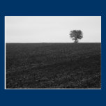 Lonely Tree postcards