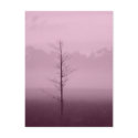 Lonely Tree postcards