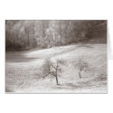 Lonely Trees cards