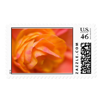 lonely truth Postage