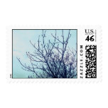 Lonely Winter Day Photography Art  Postage stamps
