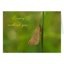 Lonely without you cards