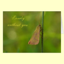 Lonely without you cards