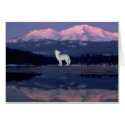 Lonely Wolf cards