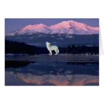 Lonely Wolf cards by Proud_Army_Wife1977 Lonely Wolf cards