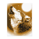 Lonely Wolf Howling at Moon Postcards